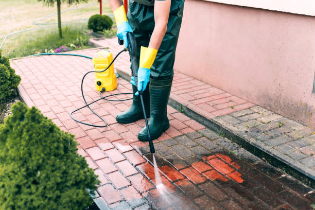 Best Animal Enclosure Cleaning  in Centuria, WI